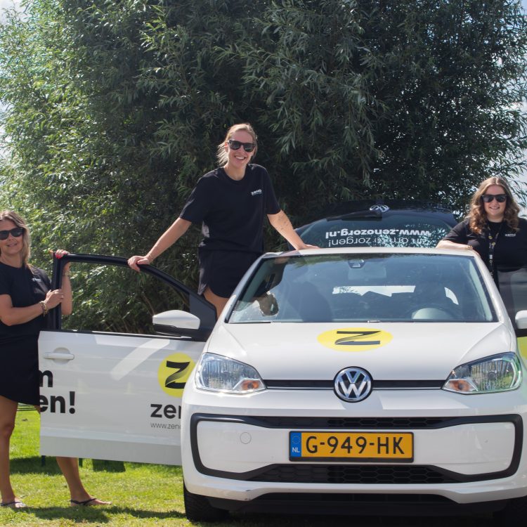 Promoteam Zeno molenpop